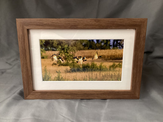 Pheasants in Flight - Matted Brown Wooden Frame